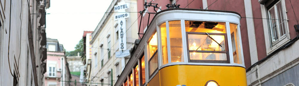 Kraut und Rüben Blog